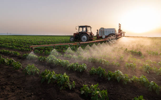 Bakersfield Country Clu, CA Pest Control Company