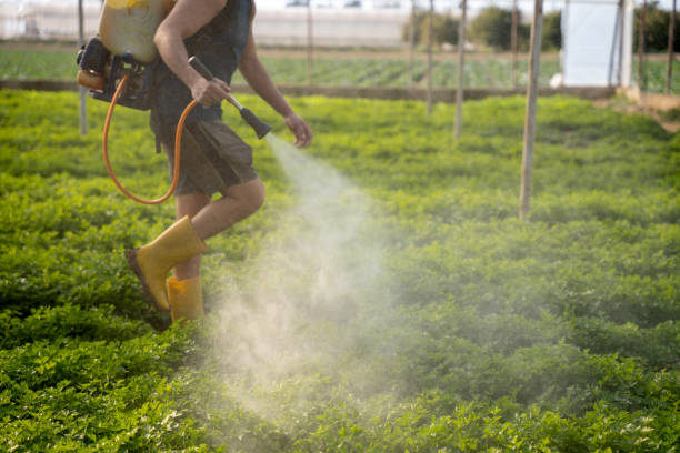Best Best Pest Control Companies  in Bakersfield Country Clu, CA