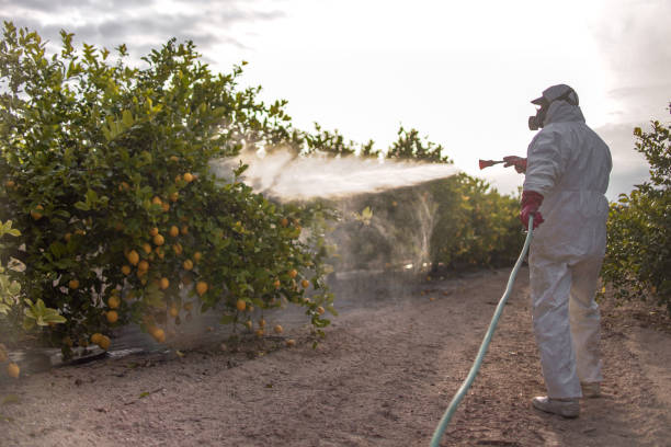 Best Best Pest Control Companies  in Bakersfield Country Clu, CA