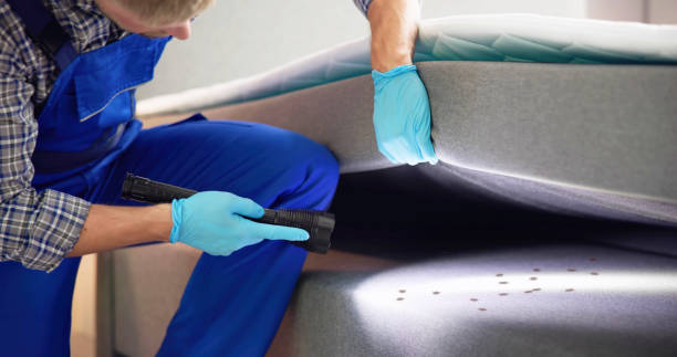 Best Residential Pest Control  in Bakersfield Country Clu, CA