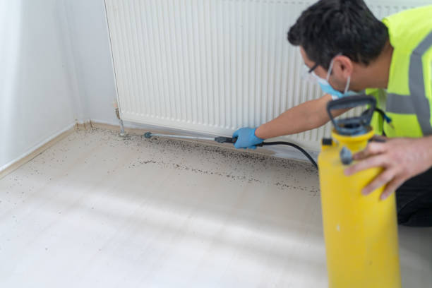 Pest Control Cost in Bakersfield Country Clu, CA