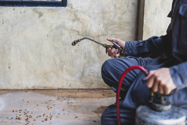 Best Affordable Pest Control Services  in Bakersfield Country Clu, CA